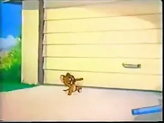 স্বামী ও বিএফ সেক্সি বিএফ স্ত্রী